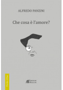 Che cosa    l am 59159dc308358