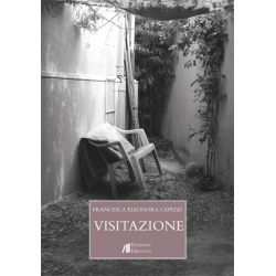 Visitazione 566992f0e3244