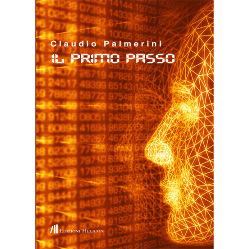 Il primo passo 52c2a6f4d91ff